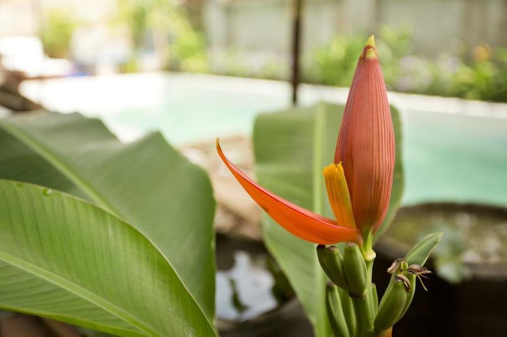 Casa Villa Independence Phnom Penh Eksteriør bilde